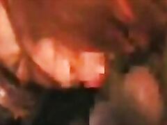 girls get forced into rough sex and brutal fuck movies.