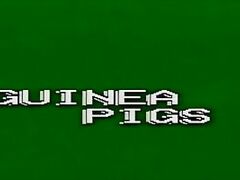 sexy girl gets forced into rough sex in a porn video; her screams fill the air as she is brutalized.