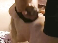 44amateur homemade rape porn with forced and brutal oral sex in a real rape hardcore xxx movie with forced blowjob.