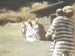 ass and deep blowjobs are always part of these movies, with mouth sucking some big cocks and dicks all part of the sex scenes.