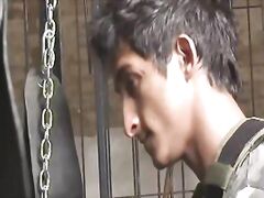 homemade sucking and blowjobs, cocks and dicks everywhere.