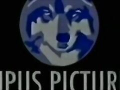 a wife was forced to have oral sex and give a blowjob in a porn video.